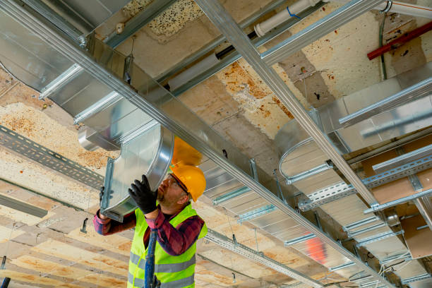 Best HVAC air duct cleaning  in Hernando, FL